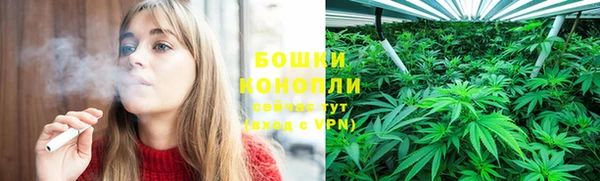 тгк Белокуриха